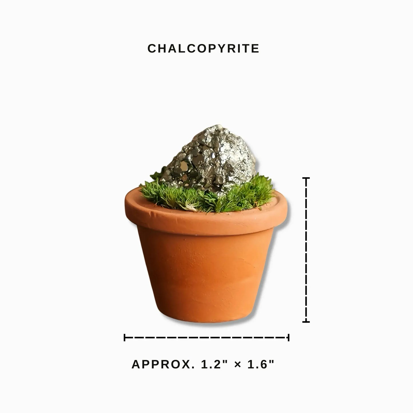 Mini Chalcopyrite Cluster Plant – Handmade Spiritual Gift & Desk Decor