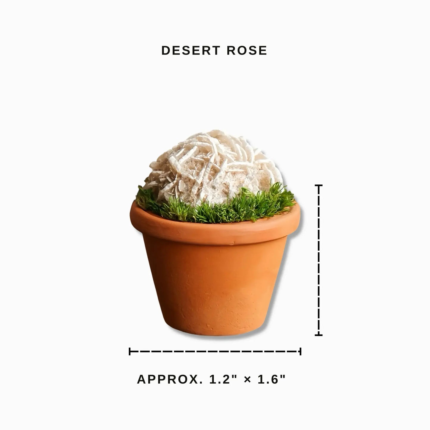 Mini Desert Rose Cluster Plant – Handmade Spiritual Gift & Desk Decor