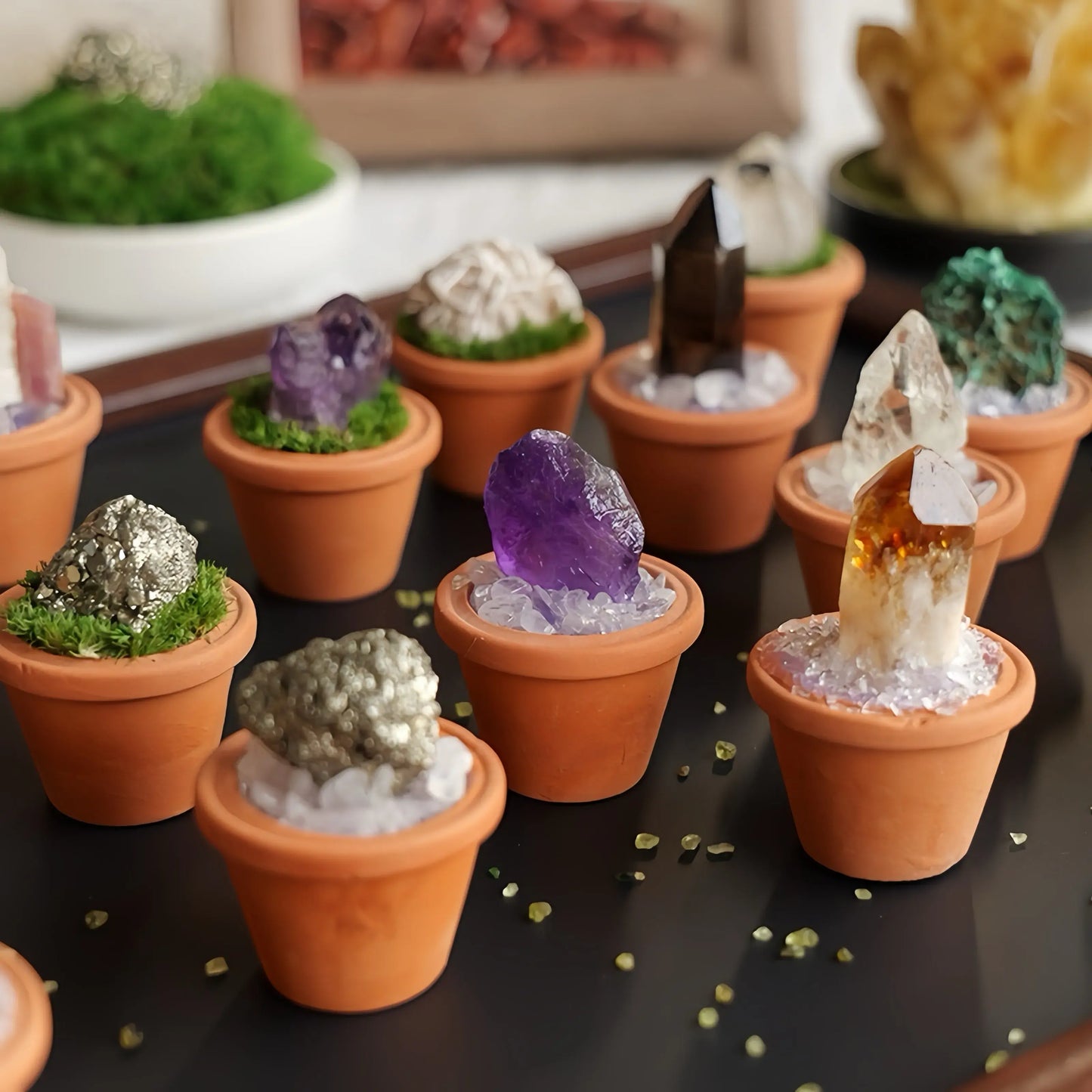 Mini Desert Rose Cluster Plant – Handmade Spiritual Gift & Desk Decor