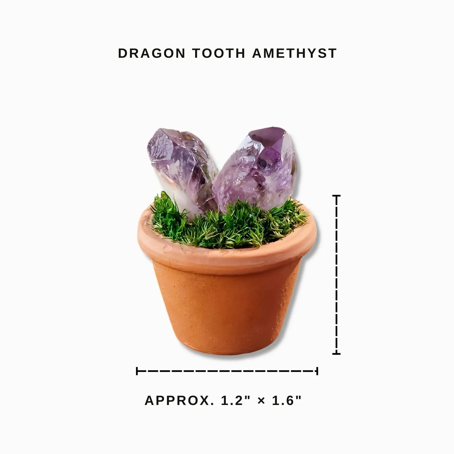 Mini Dragon Tooth Amethyst Cluster Plant – Handmade Spiritual Gift & Desk Decor